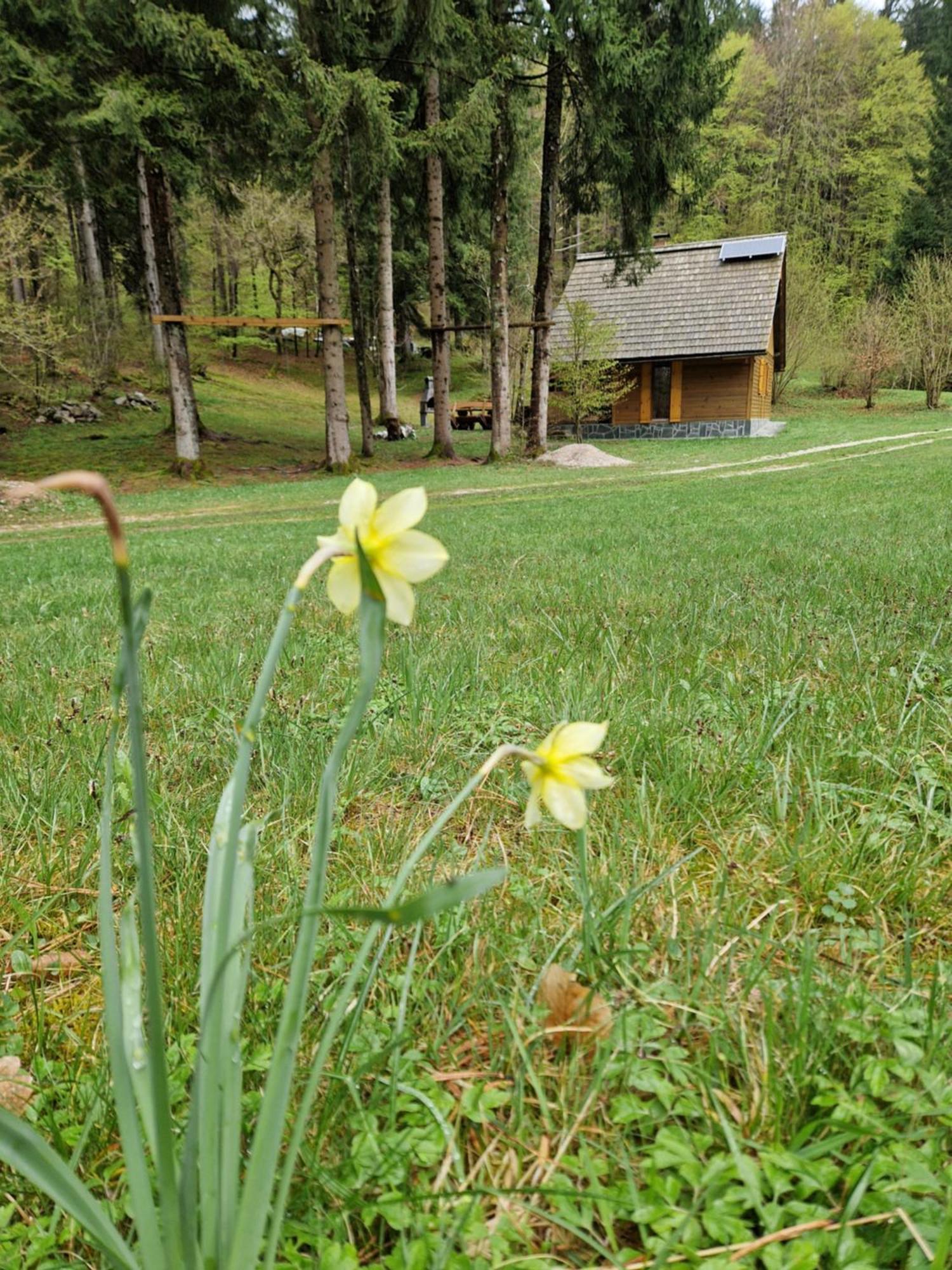 Koca V Gozdu, Forest House Near Bled Zimmer foto